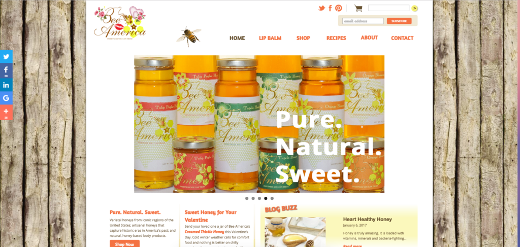 Bee America website design