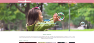 Platinum Sitters Website