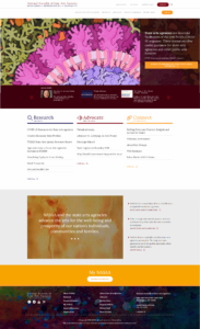 Nasaa homepage design