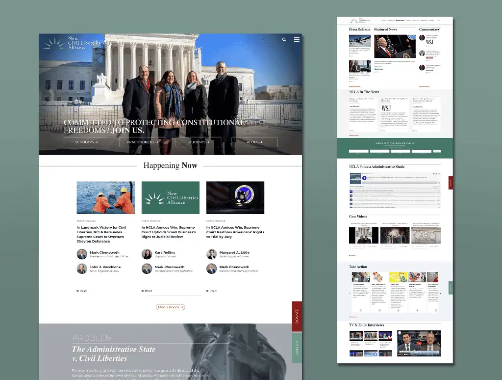 website design strategy portfolio work for government industry client new civil liberties alliance