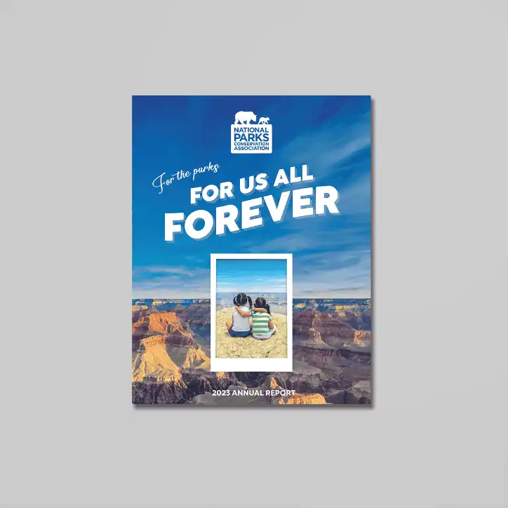 print design annual report cover for top shelf client national parks conservation association